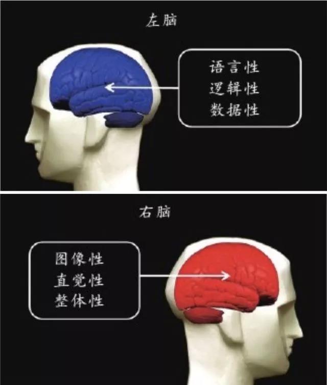 为什么视觉锤你一听就懂，一用就错？