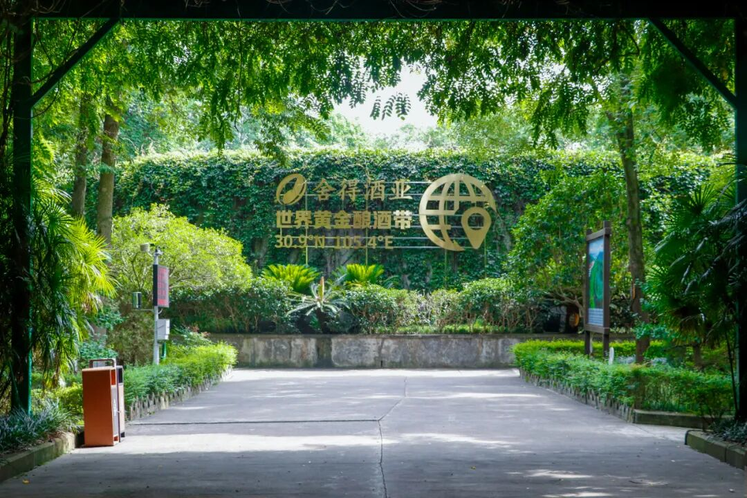 1775705167360471.png 图片1.png